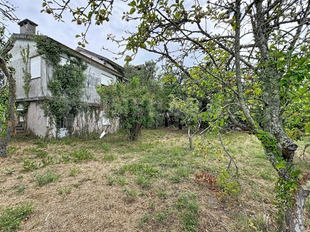 Maison de luxe à vendre à Caminha, 510 000 €, Photo 2