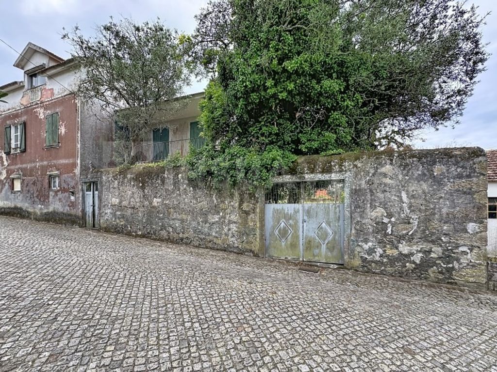 Maison de luxe à vendre à Caminha, 510 000 €, Photo 4