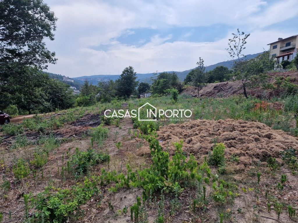 Maison de luxe à vendre à Lamego, 1 950 000 €, Photo 3