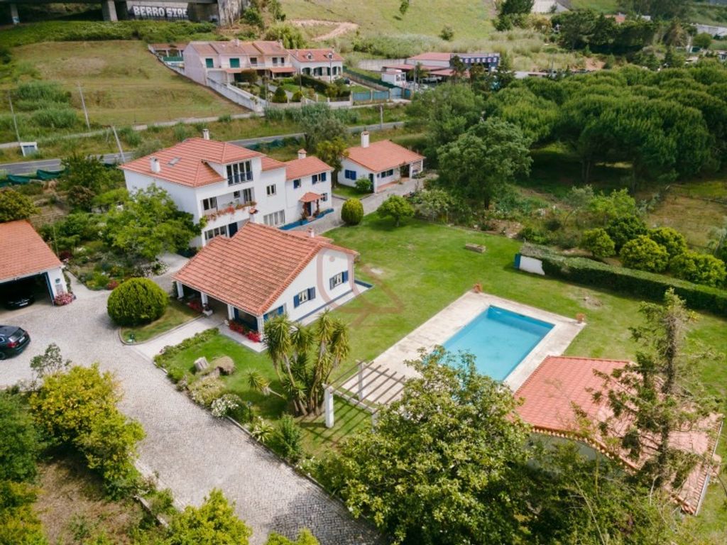 Maison de luxe à vendre à Alcobaça, 1 100 000 €, Photo 4