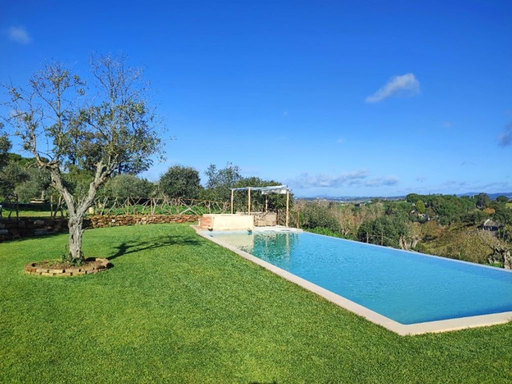 Luxury House for sale in Tomar, 2 250 000 €, Photo 6