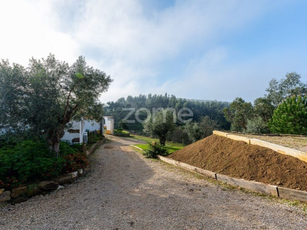 Luxury House for sale in Tomar, 2 250 000 €, Photo 7