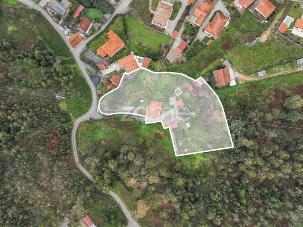 Maison de luxe à vendre à Ponte de Lima, 499 000 €, Photo 1