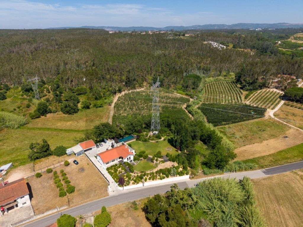 Maison de luxe à vendre à Leiria, 995 000 €, Photo 1