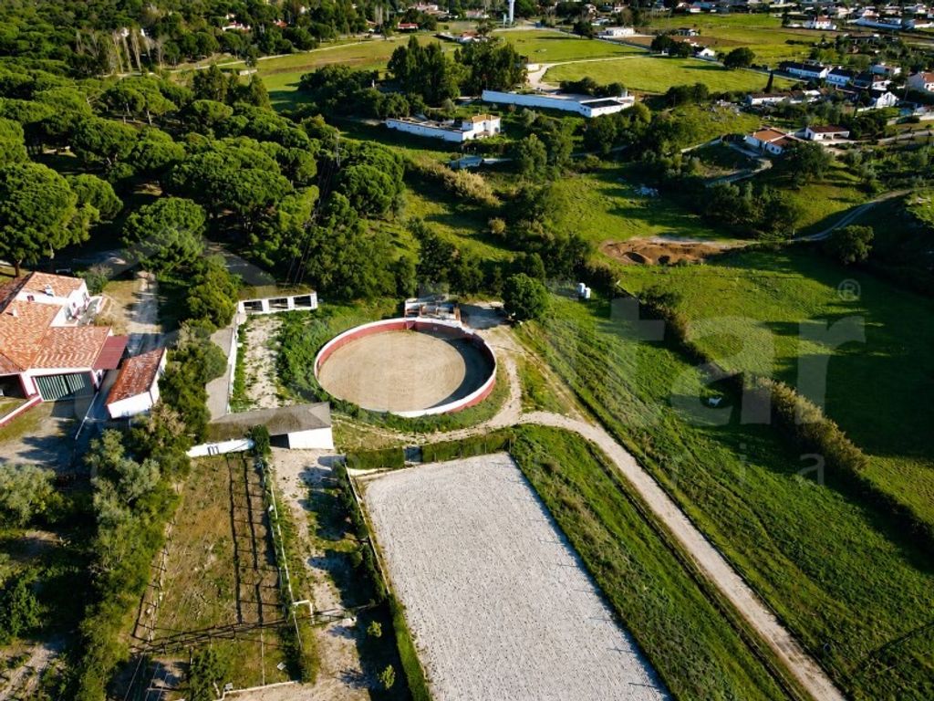 Maison de luxe à vendre à Benavente, 1 100 000 €, Photo 1