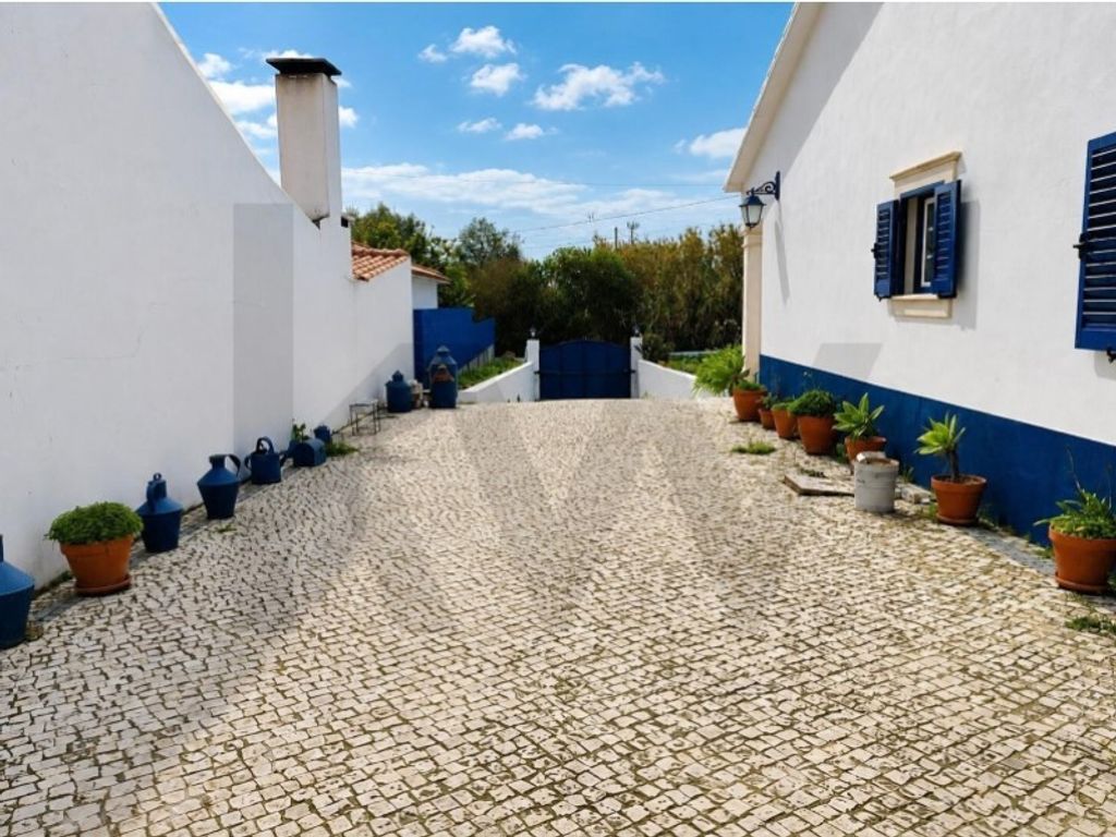 Maison de luxe à vendre à Santarém, 549 000 €, Photo 3
