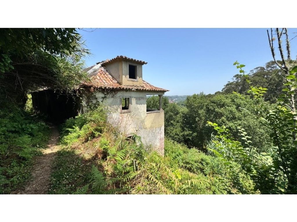 Maison de luxe à vendre à Sintra, 2 175 000 €, Photo 5