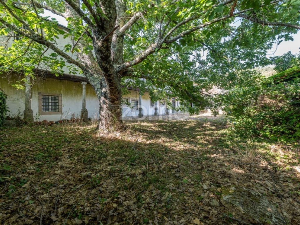 Maison de luxe à vendre à Castro Daire, 650 000 €, Photo 6