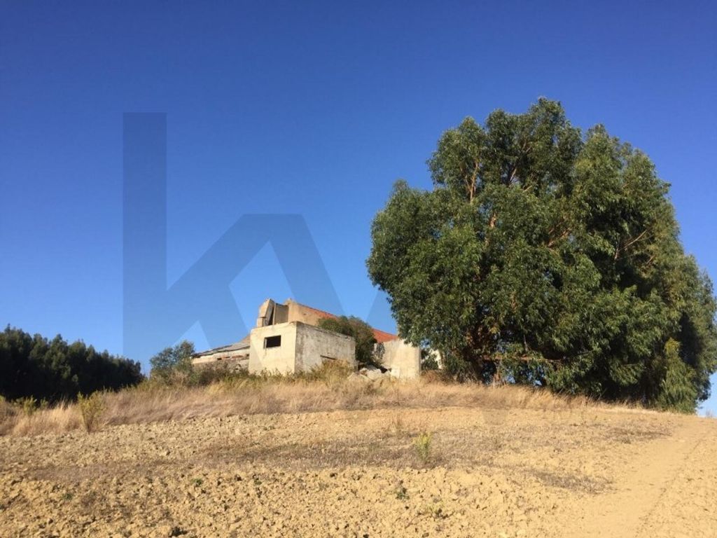 Maison de luxe à vendre à Alenquer, 1 500 000 €, Photo 6