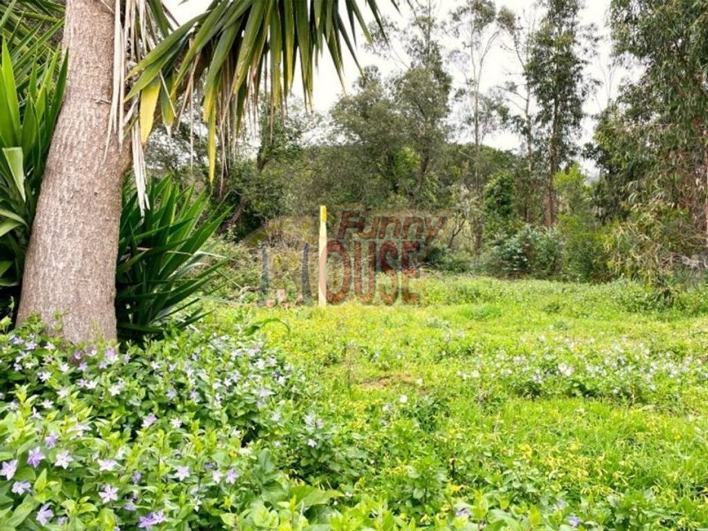 Maison de luxe à vendre à Sintra, 2 200 000 €, Photo 7