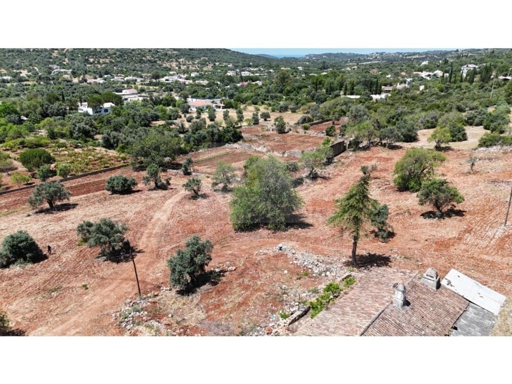 Maison de luxe à vendre à São Brás de Alportel, 1 190 000 €, Photo 3