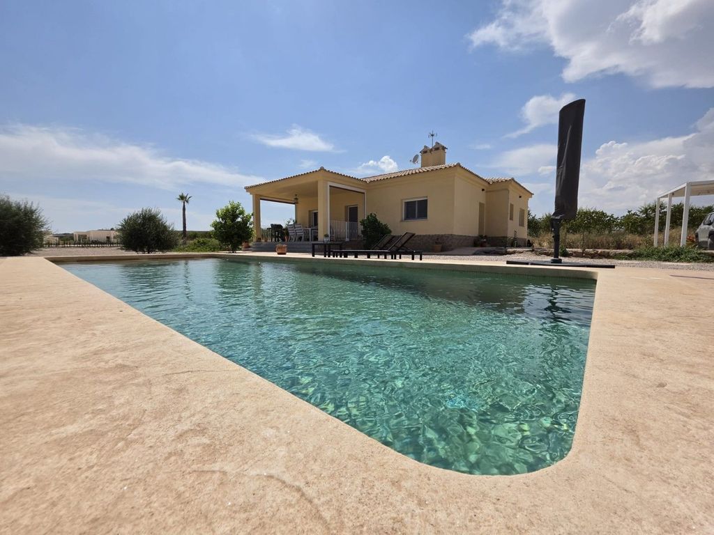 Maison de luxe à vendre à Pinoso, 423 995 €, Photo 6