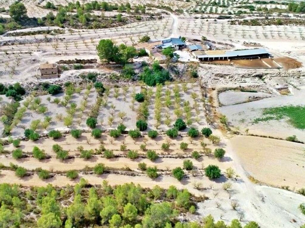 Maison de luxe à vendre à Moratalla, 1 300 000 €, Photo 2