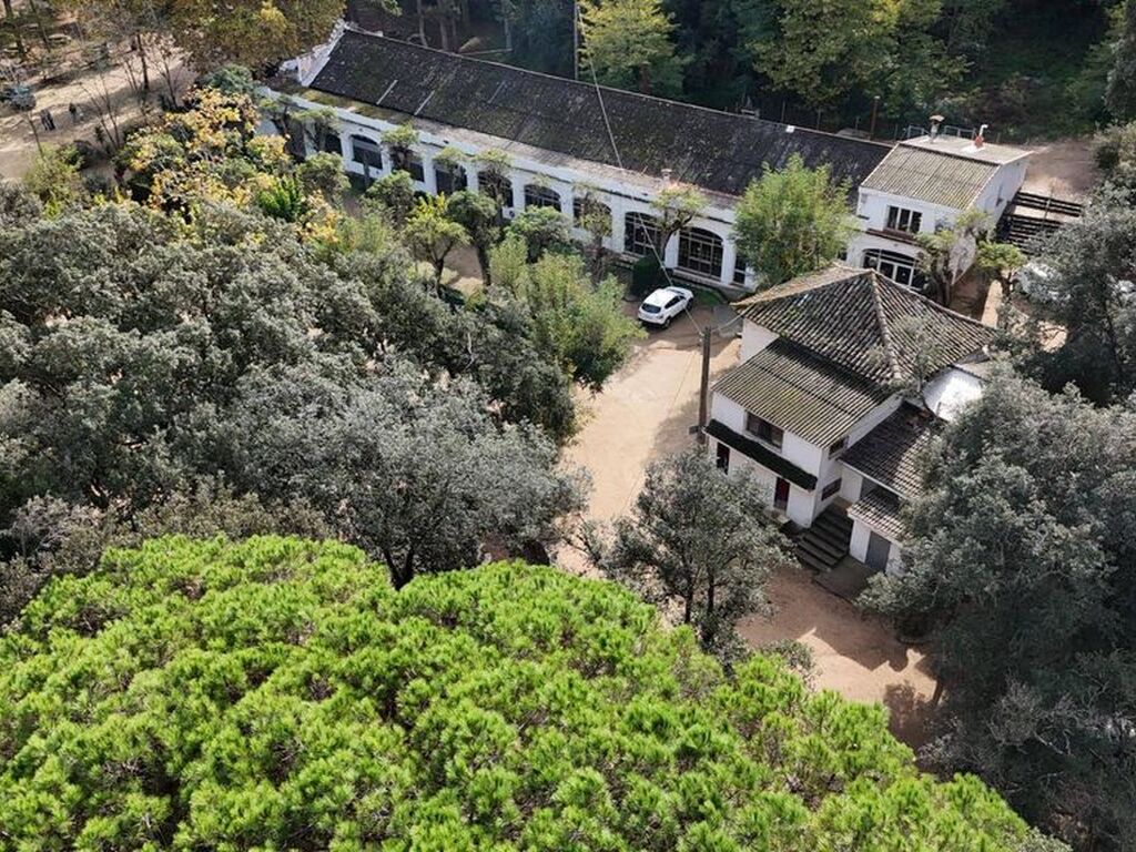 Maison de luxe à vendre à Arenys de Munt, 950 000 €, Photo 5
