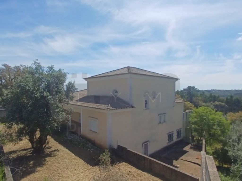 Luxury House for sale in Tomar, 430 000 €, Photo 3