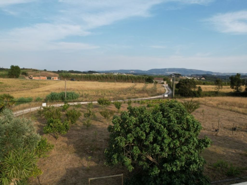 Maison de luxe à vendre à Bombarral, 575 000 €, Photo 4
