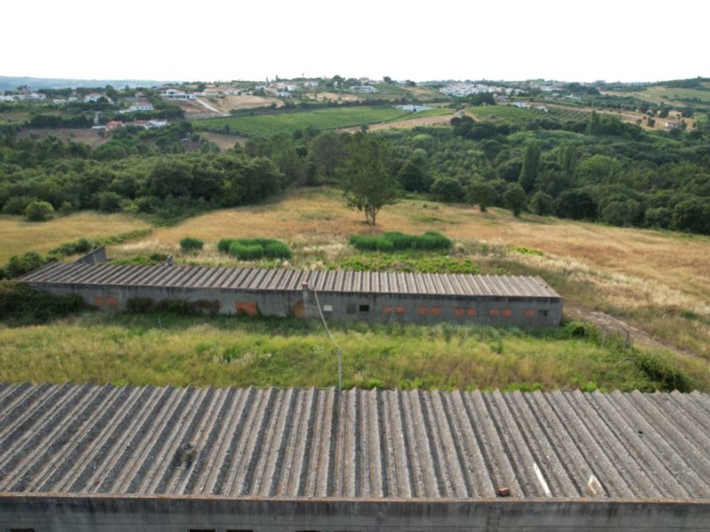 Maison de luxe à vendre à Bombarral, 575 000 €, Photo 7