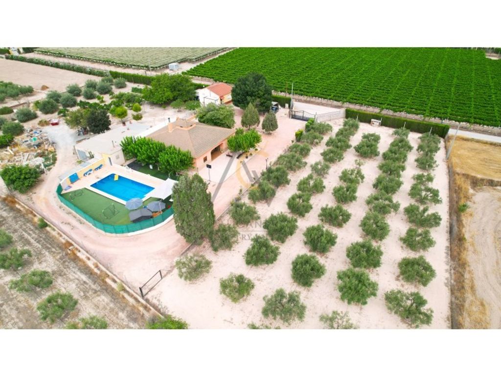 Maison de luxe à vendre à Novelda, 489 900 €, Photo 3