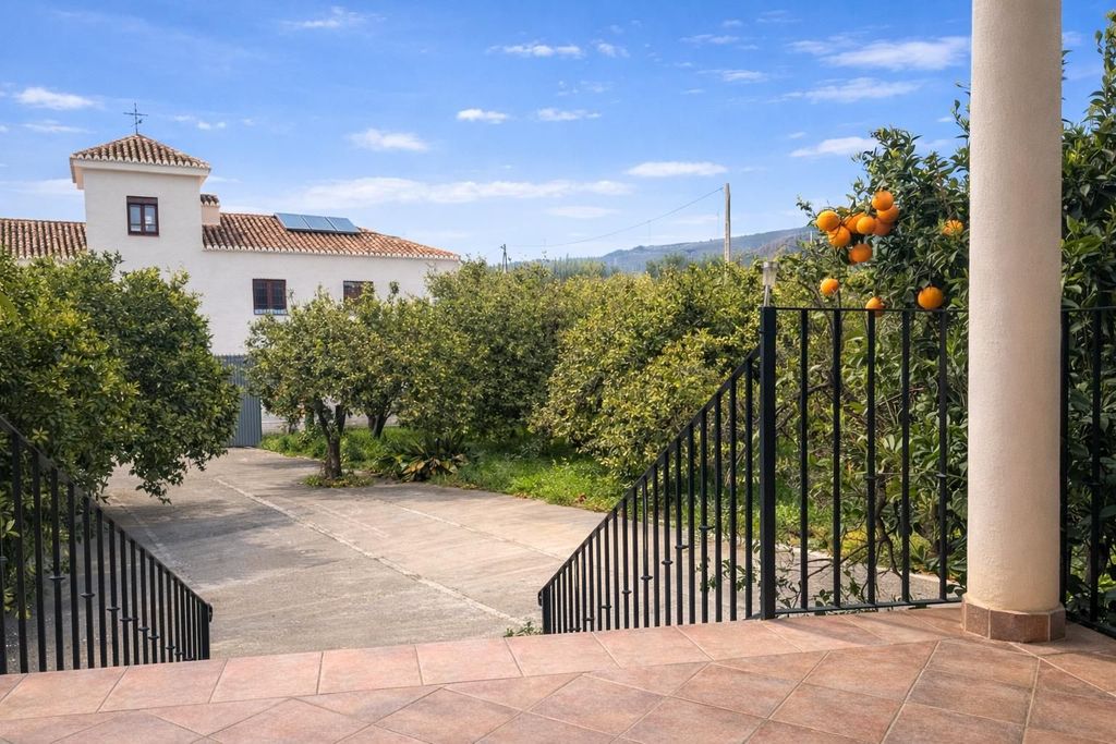 Maison de luxe à vendre à Pinos Del Valle, 650 000 €, Photo 5