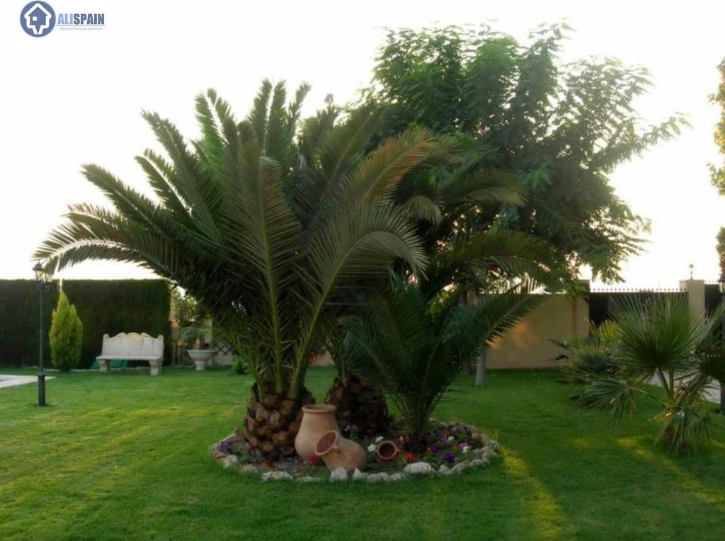 Maison de luxe à vendre à Petrel, 890 000 €, Photo 5