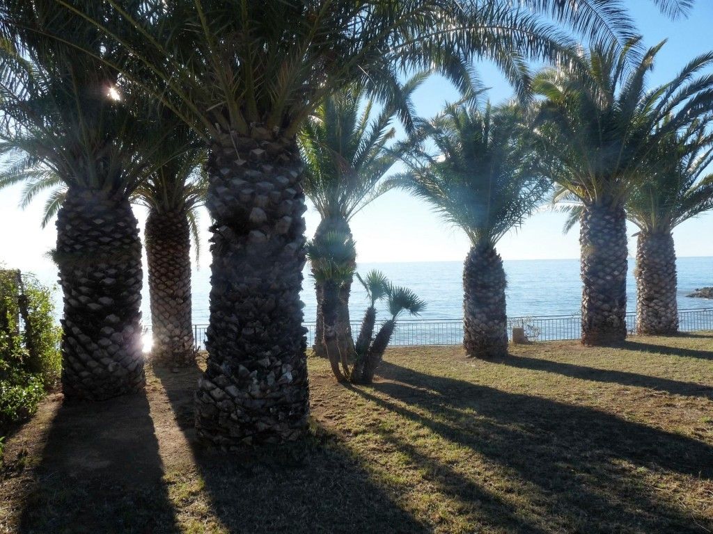 Luxury House for sale in Alcanar, 622 500 €, Photo 3
