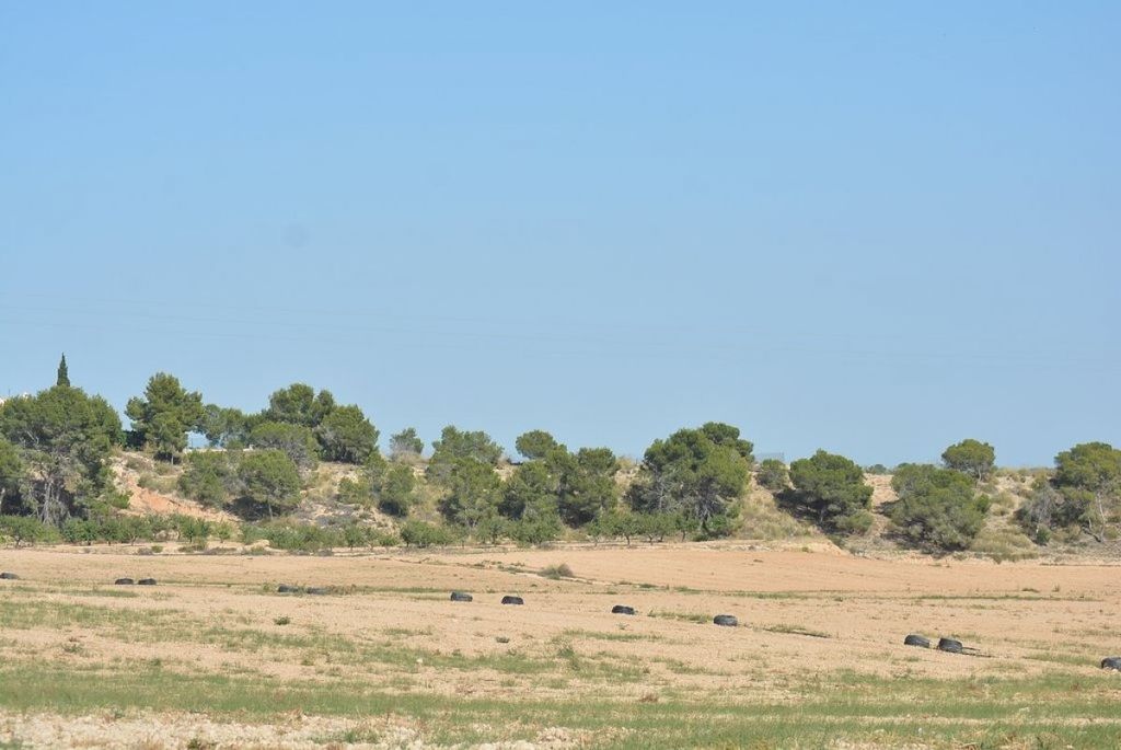 Maison de luxe à vendre à Murcia, 675 000 €, Photo 4