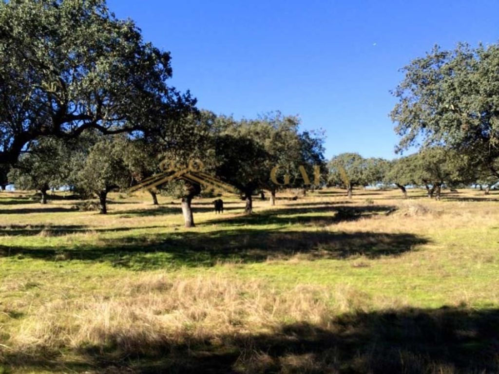 Maison de luxe à vendre à Trujillo, 1 300 000 €, Photo 1