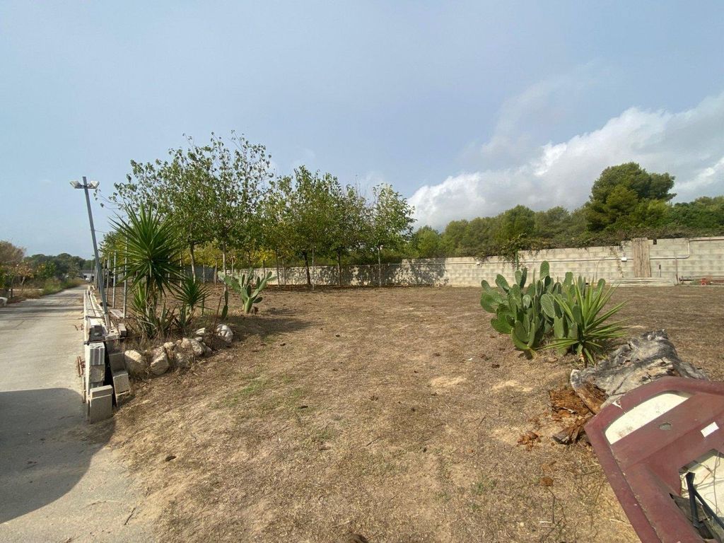 Maison de luxe à vendre à Cubelles, 650 000 €, Photo 2