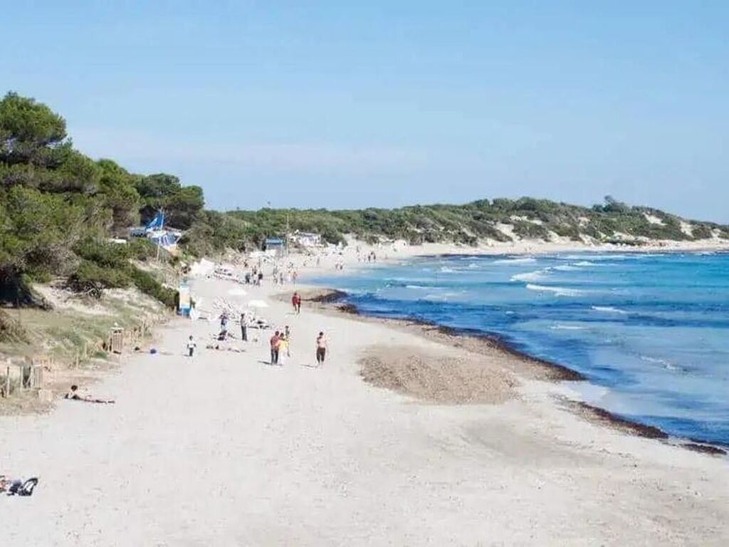 Luxury House for sale in Ses Salines, 680 000 €, Photo 2