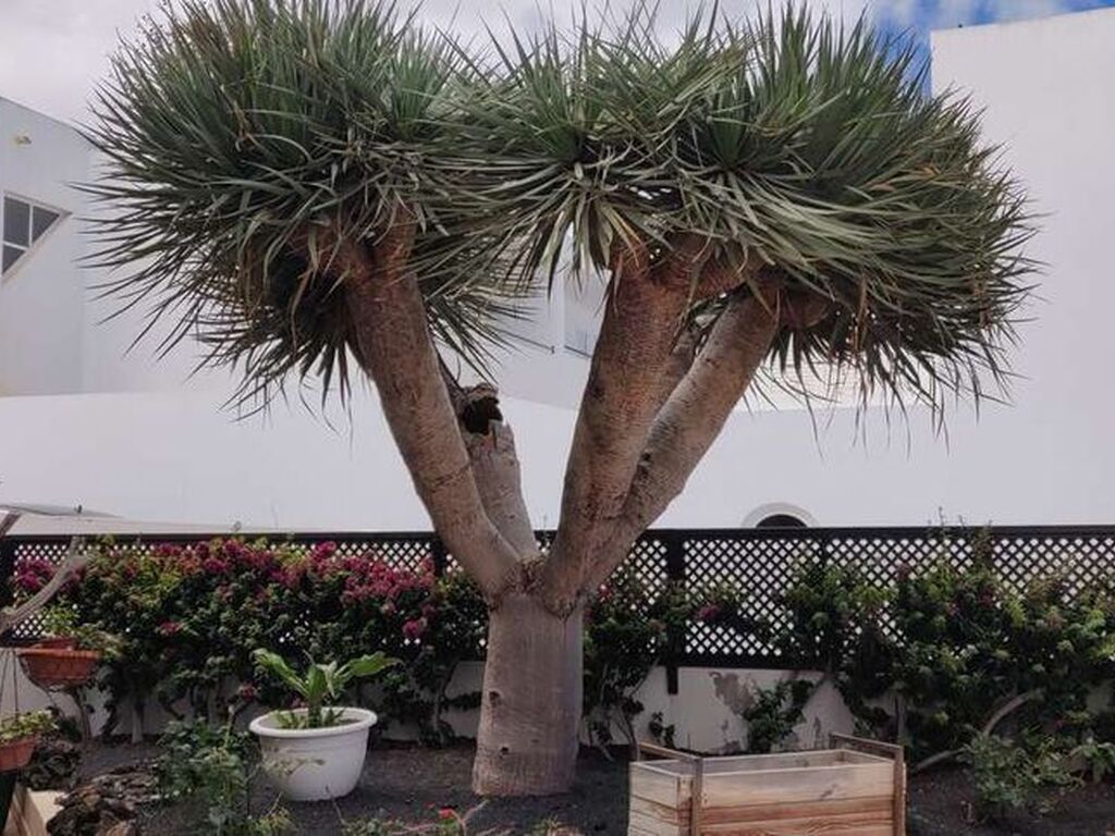 Appartement de luxe à vendre à Costa Teguise, 425 000 €, Photo 3