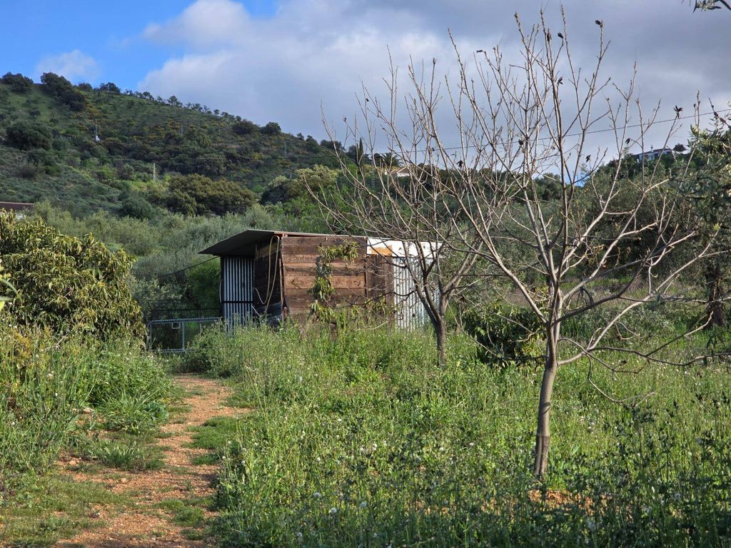 Maison de luxe à vendre à Coín, 480 000 €, Photo 5