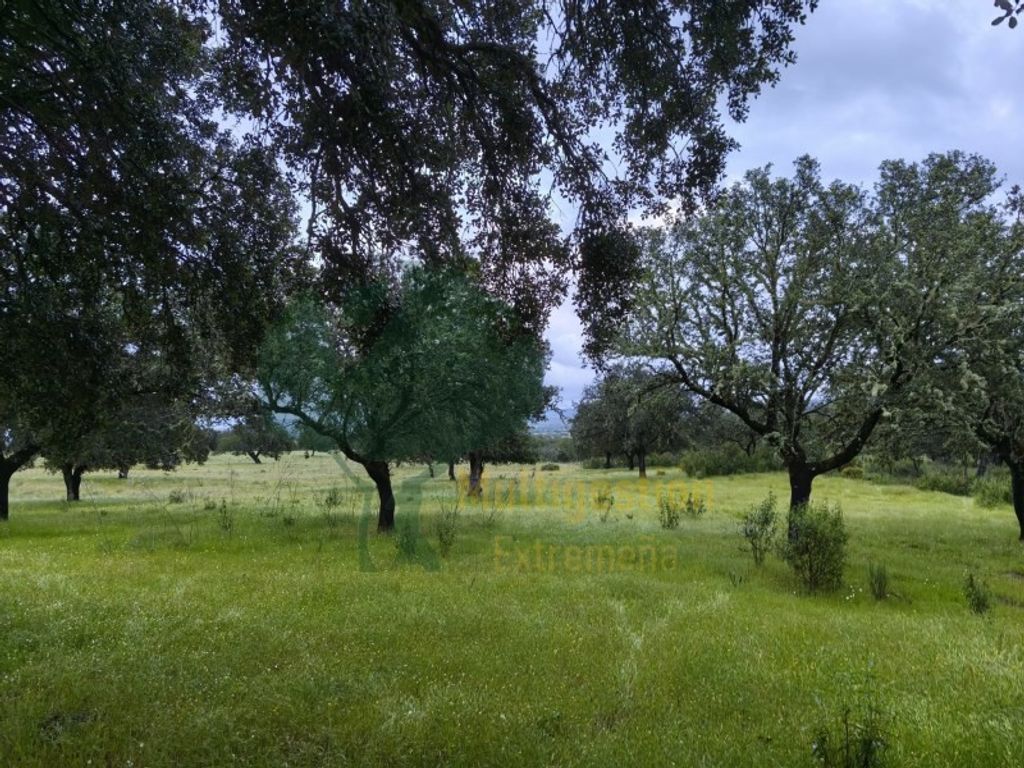 Luxury House for sale in Cáceres, 2 500 000 €, Photo 3