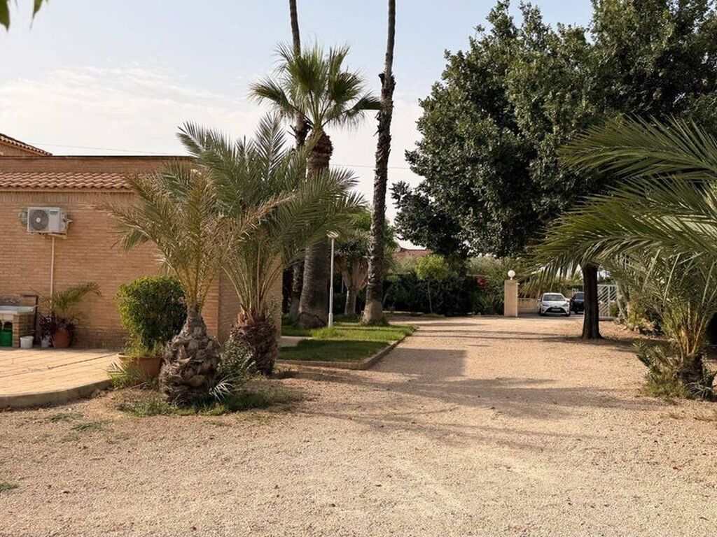 Maison de luxe à vendre à Elche, 645 000 €, Photo 5