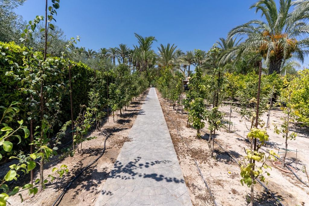 Maison de luxe à vendre à Elche, 519 000 €, Photo 6