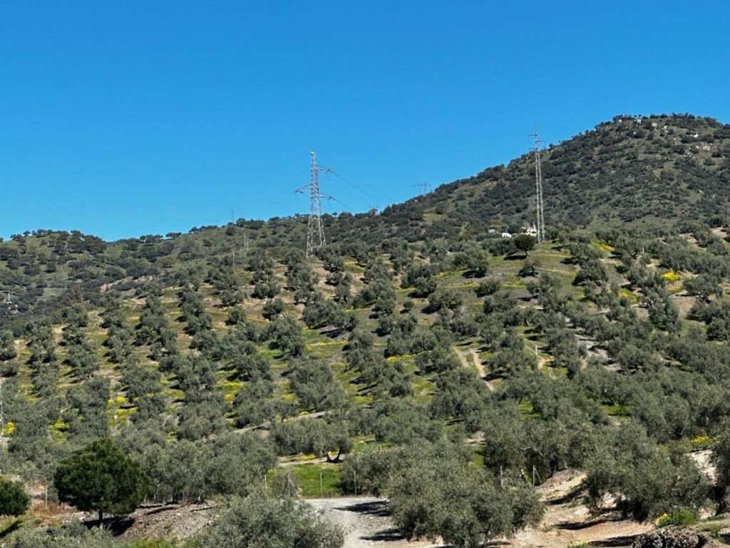 Maison de luxe à vendre à Andújar, 2 500 000 €, Photo 1