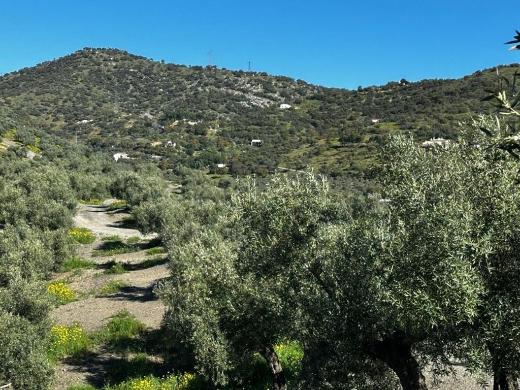 Luxury House for sale in Andújar, 2 500 000 €, Photo 3
