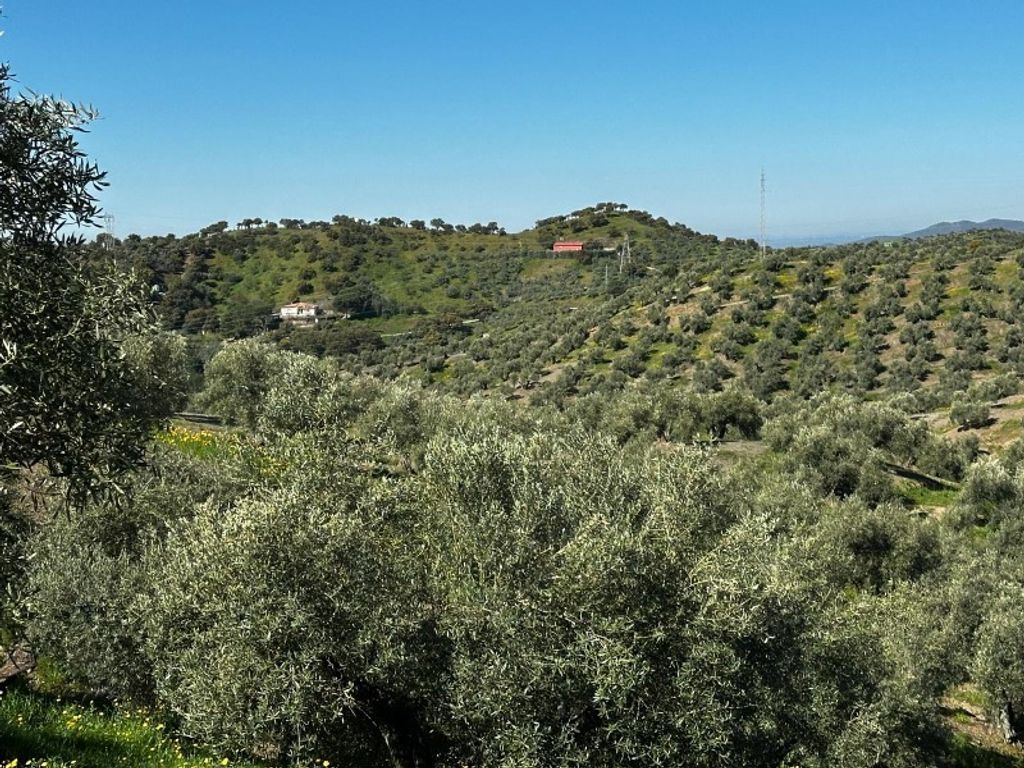 Luxury House for sale in Andújar, 2 500 000 €, Photo 4