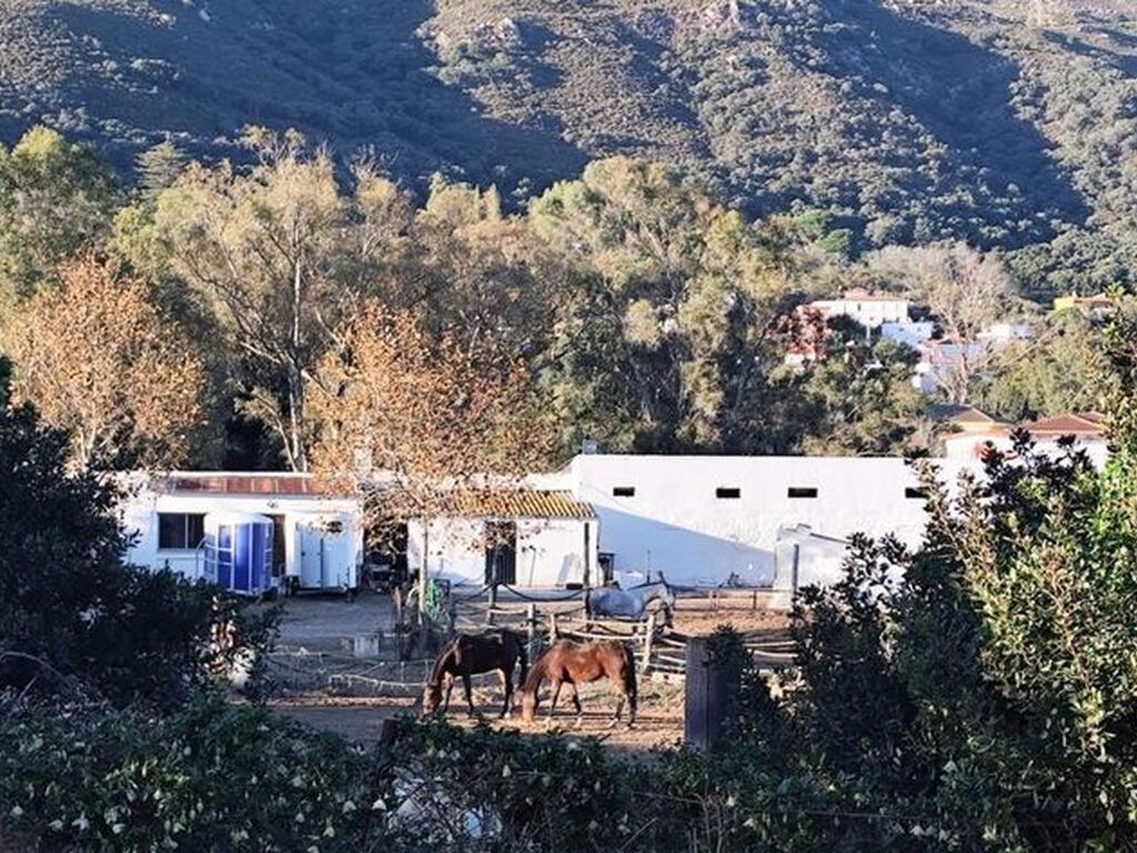 Maison de luxe à vendre à Algeciras, 590 000 €, Photo 1