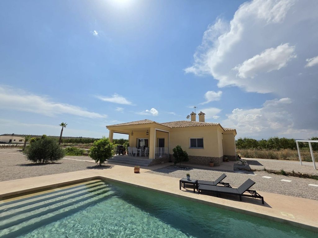 Maison de luxe à vendre à Pinoso, 423 995 €, Photo 3
