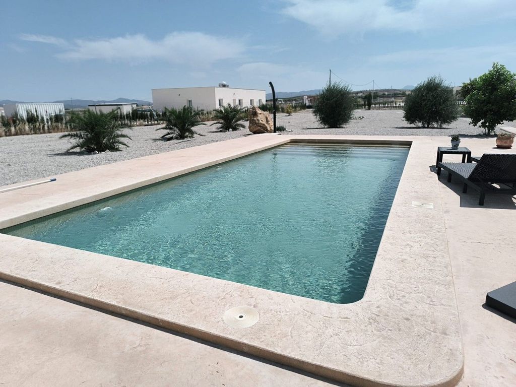 Maison de luxe à vendre à Pinoso, 423 995 €, Photo 5