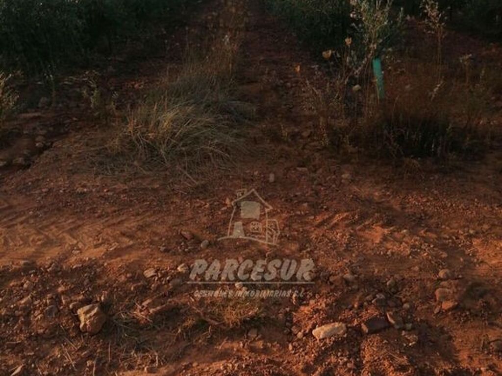 Maison de luxe à vendre à La Granjuela, 400 000 €, Photo 7