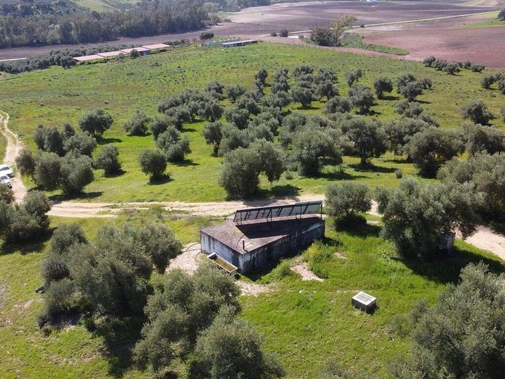 Maison de luxe à vendre à Prado Del Rey, 549 999 €, Photo 4