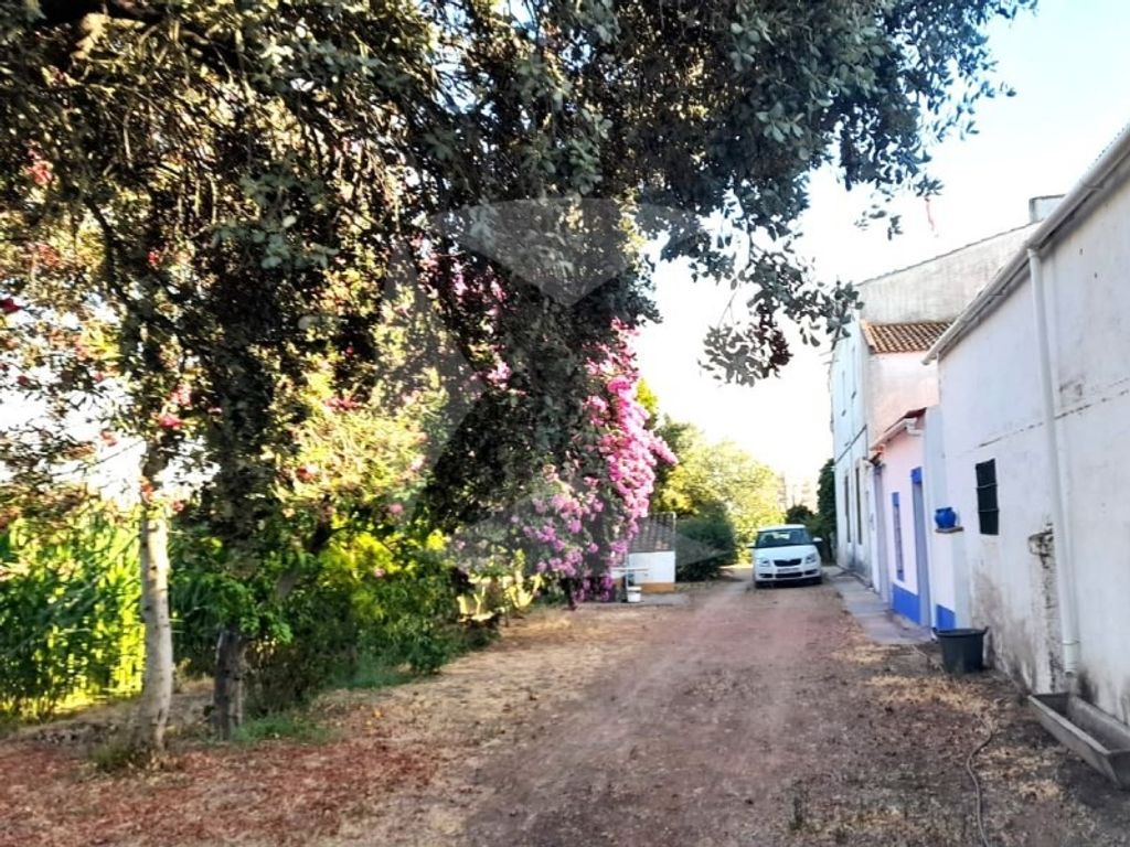 Maison de luxe à vendre à Badajoz, 630 000 €, Photo 7