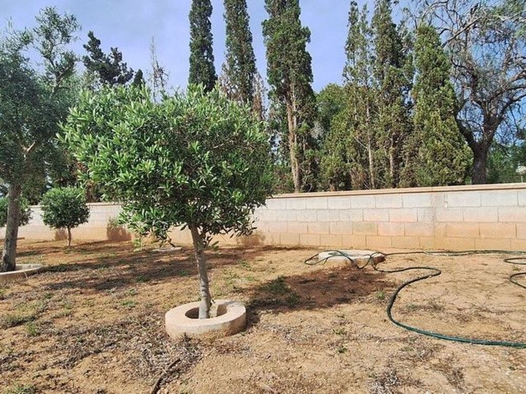Maison de luxe à vendre à Elche, 590 000 €, Photo 3