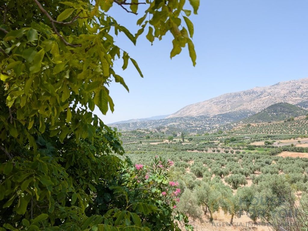 Maison de luxe à vendre à Castril, 600 000 €, Photo 7