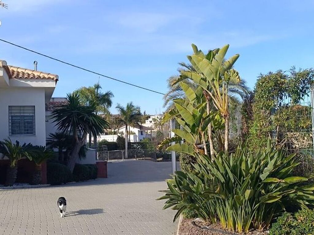Maison de luxe à vendre à Elche, 814 000 €, Photo 7