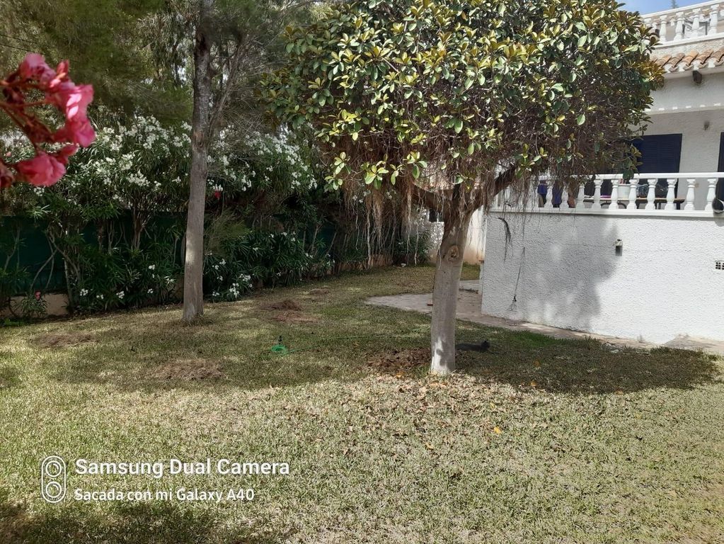 Maison de luxe à vendre à Playas de Orihuela, 549 000 €, Photo 3