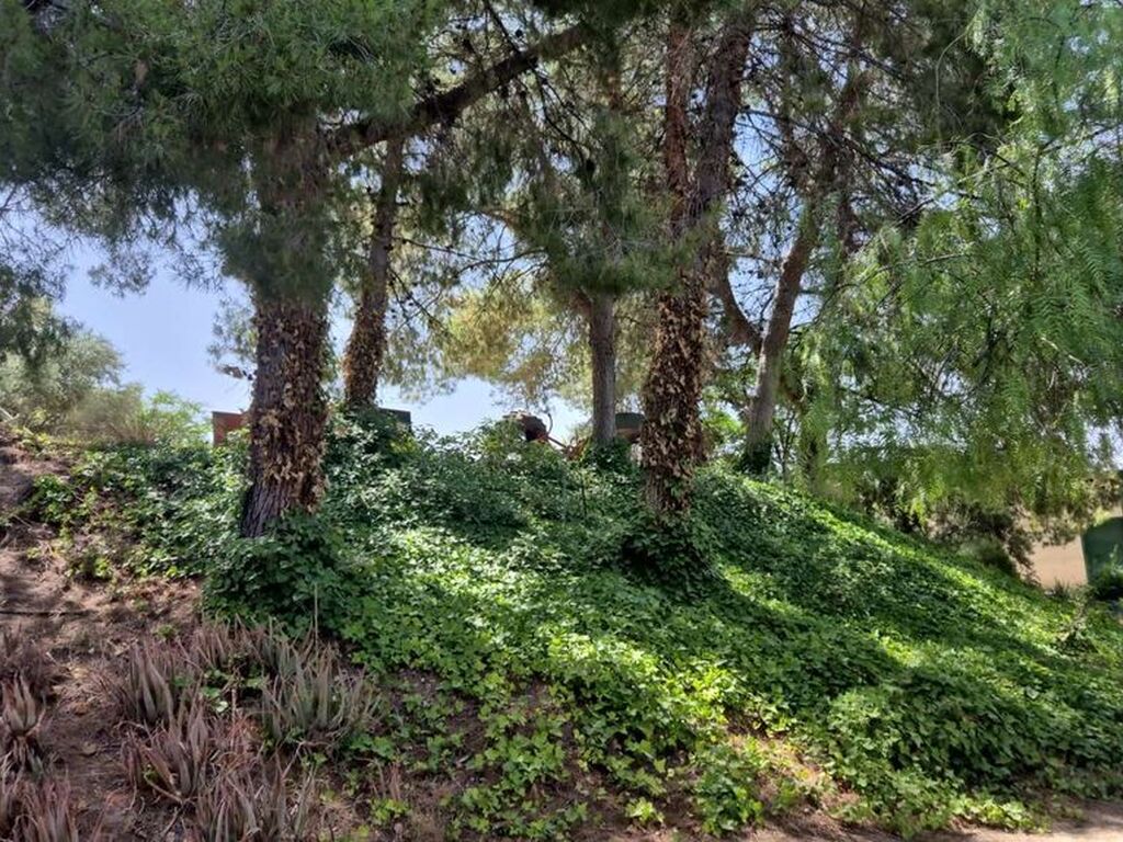 Maison de luxe à vendre à Peal de Becerro, 1 100 000 €, Photo 3