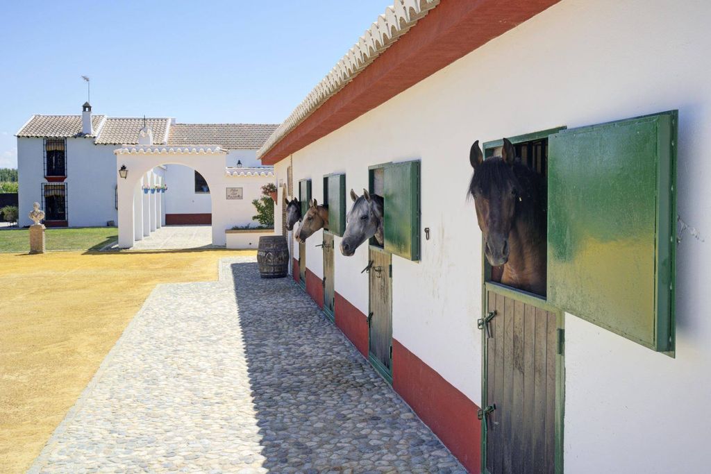 Maison de luxe à vendre à Pinos Puente, 1 000 000 €, Photo 3