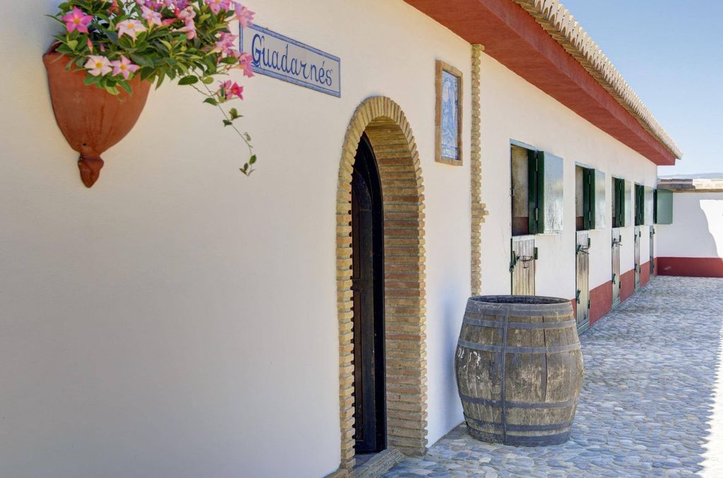Maison de luxe à vendre à Pinos Puente, 1 000 000 €, Photo 6